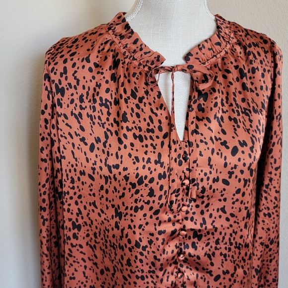 NWT Buddy Love Leah button up short dress - Picture 5 of 7